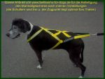 mantrailgeschirr-suchhund-bayern