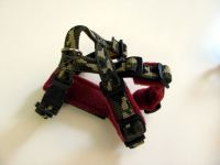 welpen05